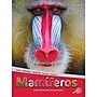 Carson-Dellosa Discovery Library Mamíferos, Hardcover (CD-9781731654540)~#|#~E6530FEA-3DAC-46F1-B31D7319771BBC83_sc7