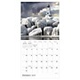 2027 TF Publishing Lighthouses 7" x 7" Monthly Wall Calendar, Multicolored (27-2003)~#|#~E65B65F6-D916-4ECF-A1445E9496113C7E_sc7