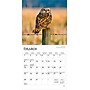 2026 BrownTrout Owls 7" x 7" Monthly Wall Calendar (9798330705047)~#|#~E65FB03A-AC1D-4295-BAE213EE07C7C9DC_sc7