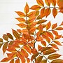 Nearly Natural 5' Autumn Minimalist Sumac Artificial Fall Tree (T4822)~#|#~E6A437B9-E7D1-454C-96EADAFDC27B95DF_sc7