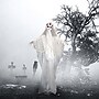 Haunted Hill Farm Life-Size Animatronic Ghost Bride (HHBRIDE-2FLSA)~#|#~E6BA09C6-EB94-4E36-9993CD400F85D6A0_sc7