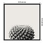 Amanti Art Haze Cactus Succulent by The Creative Bunch Studio Wood Framed Wall Art Print, 33" x 33" (A42675345780)~#|#~E6D501F8-80ED-4169-9E045DD405EF80DE_sc7