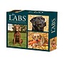 2027 Willow Creek Just Labs 5.4" x 6.2" Day-to-Day Calendar (63569)~#|#~E6DE60A2-703A-435B-BA8C059AF72AC1D1_sc7