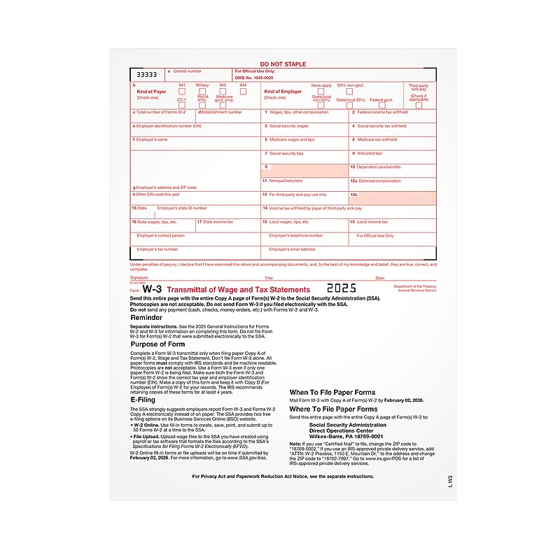 Adams Employee's Copies Cut Sheet 2025 W-3 Tax Form, 1-Part, 25/Pack (LW325) image 1