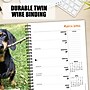 2026 Willow Creek Crusoe the Celebrity Dachshund 6.5" x 8.5" Daily & Monthly Personal Organizer (54611)~#|#~E7022837-0A7F-4785-B4180F672B82717D_sc7