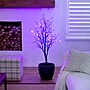 Nearly Natural 4' Pre-Lit Halloween Deluxe Black Twig Artificial Fall Tree with 81 Orange and Purple LED Lights (T4757)~#|#~6101E967-EDF9-4E94-BBFA64A31CEEE03C_sc7