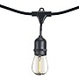 Bulbrite 48-foot String Light Kit with Clear Shatter Resistant Vintage Style S14 LED Light Bulbs (812483)~#|#~E7279BFB-F8DE-4AEC-ACF272FBD5ACCDD3_sc7