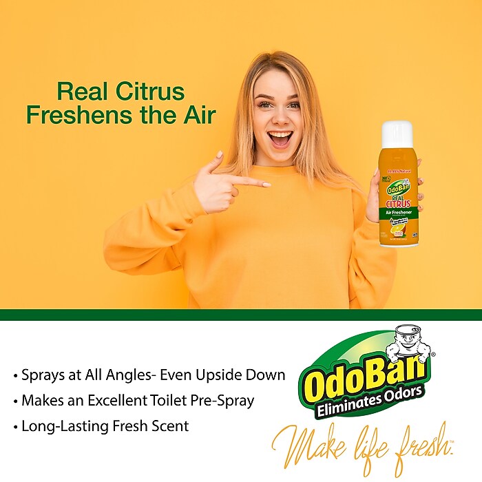 OdoBan Real Citrus Air Freshener Spray, 10 oz., Orange Scent