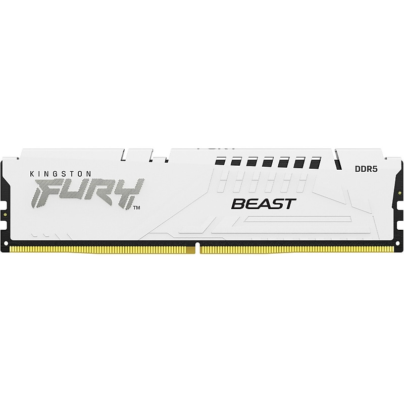 Kingston FURY Beast 32 GB DDR5 SDRAM Memory (KF560C36BWE-32) image 1
