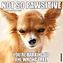 2026 Willow Creek Not So Pawsitive 12" x 12" Monthly Wall Calendar (56011)~#|#~E730214C-1256-44BE-8C9154FF5F054D0D_sc7