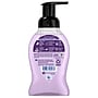 Softsoap Velvet Silk Antibacterial Foaming Hand Soap, Dreamy Lavender & Almond Milk Scent, 9 oz., 6/Carton (61052503CT)~#|#~E730B0AA-7783-4BD5-AC3318E4672B1114_sc7