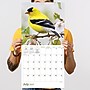 2027 TF Publishing Backyard Birds 12" x 11" Monthly Wall Calendar, Multicolored (27-1033)~#|#~E731A361-2116-4C6C-AFD74176B9C832B9_sc7