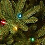 National Tree Company Natural Fraser Fir Artificial Christmas Tree, 6.5 ft., Multicolor Lights (NAFFSLH1-65RLO)~#|#~E754D29F-700E-452C-96B6C30CF33CB7ED_sc7