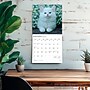 2026 BrownTrout Chatons 12" x 12" Monthly Wall Calendar (9798330707331)~#|#~E75B4036-319E-4D12-ABE62C4976C24D51_sc7