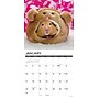 2027 Willow Creek Hamsters 12" x 12" Monthly Wall Calendar (60612)~#|#~E7618993-6FE4-480B-B7458CAF1ACF91FD_sc7