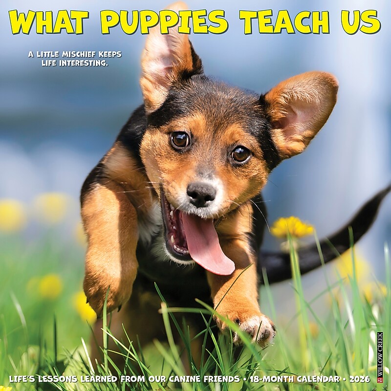2026 Willow Creek What Puppies Teach Us 12" x 12" Monthly Wall Calendar (53225) image 1