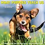 2026 Willow Creek What Puppies Teach Us 12" x 12" Monthly Wall Calendar (53225)~#|#~E771C1C9-A97F-4016-BCF7C589881DB130_sc7