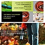 GoGreen Power 16/3 8' Heavy Duty Extension Cord, Lighted End, Orange (GG-13708)~#|#~E7730991-E420-4191-9D1C02FDACBDDC3E_sc7