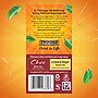 Twinings Seasonal Teas Pumpkin Spice Chai Herbal Tea Bags, 20/Box (TNA51382)~#|#~E777B953-0DC7-4B8B-B4EEBFA1C8A888DE_sc7