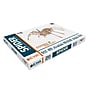 EWA Eco-Wood-Art Spider 3D Wooden STEM Construction Kit, 293 Pieces/Set (AVRAV0523304)~#|#~E7993100-060A-412F-8CD646364089D304_sc7