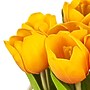 National Tree Company 10" Orange Tulip Bouquet in White Basket (MT81-10926GOR-1)~#|#~E7B2CA5B-606A-4D5F-AF5CA056BC2D56FB_sc7
