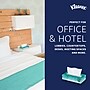 Kleenex Professional Standard Facial Tissue, 2-ply, White, 100 Sheets/Box, 36 Boxes/Carton (21400)~#|#~E7B8D7ED-DBF1-49C5-A1953A6205E84A8F_sc7