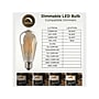 Viribright 5-Watts Warm White LED Decorative Bulb, 6/Box (641350-6)~#|#~E7C3B37D-47C1-41CE-B8347E626CBE7621_sc7
