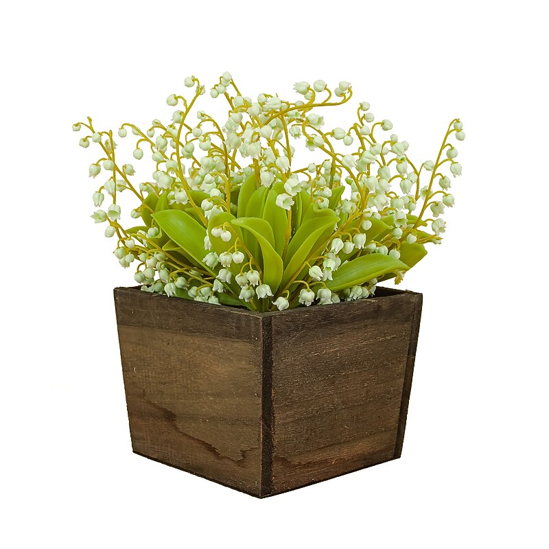 National Tree Company 10" Green Lily-of-the-Valley Flowers in Wood Box (MT81-00326GGR-1) image 1