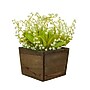 National Tree Company 10" Green Lily-of-the-Valley Flowers in Wood Box (MT81-00326GGR-1)~#|#~E7CC5A1A-9C04-46A7-A630DD872DB78068_sc7