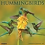 2027 Willow Creek Hummingbirds 12" x 12" Monthly Wall Calendar, Assorted Colors (60728)~#|#~E7D56785-666C-44D2-A5A3F24D9B6A8964_sc7
