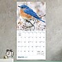 2027 TF Publishing Backyard Birds 12" x 11" Monthly Wall Calendar, Multicolored (27-1033)~#|#~E7E5599E-EAB8-435A-A7EFFA0B5A013B8A_sc7