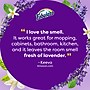 Fabuloso Multi-Purpose Cleaner, Lavender Scent, 56 oz., 6/Carton (153041CT)~#|#~E7E66025-D0B0-484F-AB73E52026B553A7_sc7