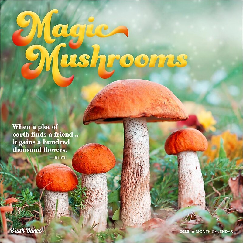 2026 Brush Dance Magic Mushrooms 12" x 12" Monthly Wall Calendar (9798330706570) image 1