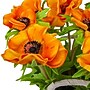 National Tree Company 10" Orange Anemone Flower Bouquet in White Basket (MT81-01626GOR-1)~#|#~E7FC155B-1349-4703-B2E198D98392BC06_sc7