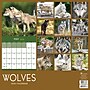 2026 TF Publishing Wolves 12" x 12" Monthly Wall Calendar, Multi (26-1035)~#|#~E800AD42-6DAD-41F7-A8DB739D3692EC62_sc7