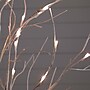 Nearly Natural 4-ft Pre-Lit Artificial White Birch Tree with 51 White LED Lights (T4930)~#|#~E80DA09E-6D36-4930-A27B55D045817169_sc7