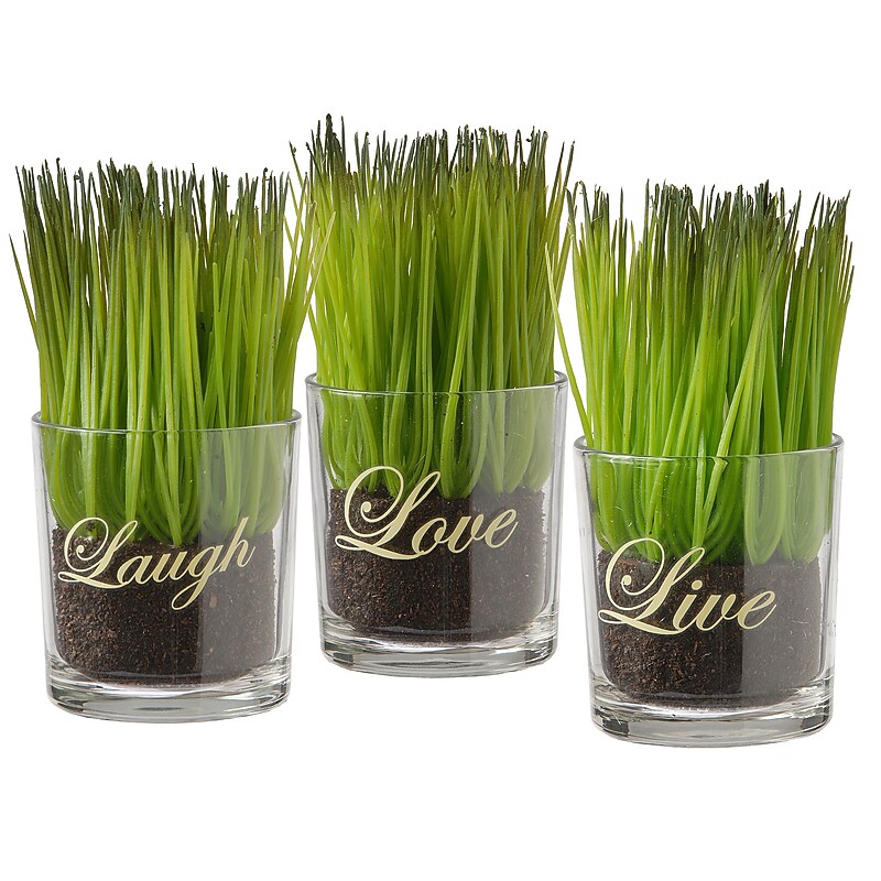 National Tree Company 3-Piece Sprout-Filled Glass Assortment (RAS-KS14293-1) image 1