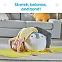 hand2mind BubblePlush Penguin Yoga Ball Buddy, Multicolored (99034)~#|#~E81804D5-5BD3-441F-86A576A2C1D0D55A_sc7