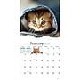 2026 TF Publishing Kittens 12" x 12" Monthly Wall Calendar, Multi (26-1013)~#|#~E81E9902-E02A-4213-9D3A81613D524398_sc7