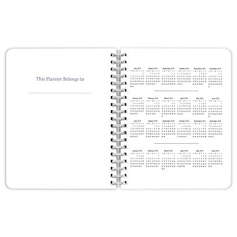 2024 Plato Seaside Currents 6" x 7.75" Academic & Calendar Weekly Planner, Paperboard Cover, Blue/Pink (9781975470579)