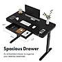 FlexiSpot EG9 48"W Electric Adjustable Glass Top Standing Desk, Black (EG9B-E)~#|#~E8281185-790B-422A-A58DEE4C3CC6E947_sc7