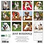 2026 Willow Creek Bulldogs 12" x 12" Monthly Wall Calendar (50439)~#|#~E82A6418-60FF-4326-BFF8DDCC9093AE32_sc7