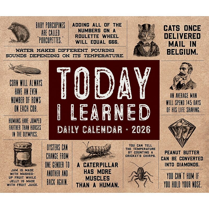 2026 Willow Creek Today I Learned 6.2" x 5.4" Day-to-Day Calendar (54451) image 1