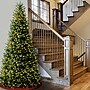 National Tree Company Natural Fraser Fir Artificial Christmas Trees NAFFSLH1-100LO~#|#~E847D3E6-A1E5-4999-A01A871DB874C66C_sc7