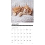 2027 Willow Creek Kittens 12" x 12" Monthly Wall Calendar, Assorted Colors (60933)~#|#~E85EF4DA-5479-45BB-B169E8D7FEFFF172_sc7