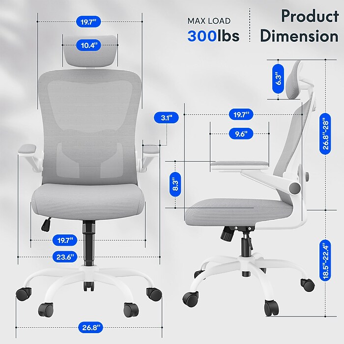 FlexiSpot Pro Comfort Swivel Computer and Desk Chair, Gray (OC1GY