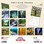 2026 BrownTrout Arkansas Wild & Scenic 12" x 12" Monthly Wall Calendar (9798330702152)~#|#~E8942198-C3DE-4979-8BFDB3F92FBF5AA8_sc7