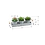 Monarch Specialties Inc. 6" Artificial Succulent in Pot, 3/Set (I 9372)~#|#~E8B01F56-B785-4E37-A9322B5279C00ECA_sc7
