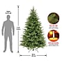 National Tree Company Frasier Grande Artificial Christmas Tree (PEFG3-500-75)~#|#~E8B1B405-9780-4545-96066C9E7CA320C4_sc7