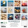 2027 Willow Creek Seashells 12" x 12" Monthly Wall Calendar, Assorted Colors (62234)~#|#~E8BC5DBD-F4B8-410A-806D46F88046CB3C_sc7